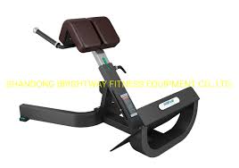 China Gym Equipment Roman Chair Lower Back Extensions Exercise Bench China Gym Equipment And Fitness Equipment Price