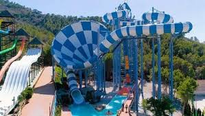 MISSING Mark Palmer allegedly sighted near Sax and Elda-Petrer