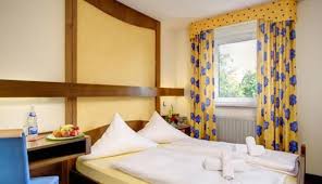 Image result for "Gelber Löwe" "heroldsberg"