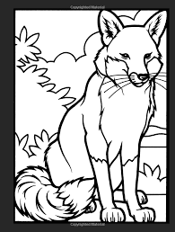 Amazon Com Wild Animals Stained Glass Coloring Book Dover Nature Stained Glass Coloring Book Fox Coloring Page Animal Coloring Books Animal Coloring Pages