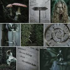 Just to test how well you know the 2013 game called alice in wonderland: Dark Alice In Wonderland Aesthetic Novocom Top