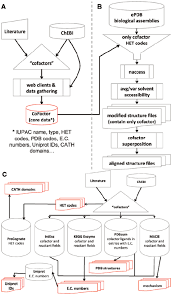 Flow Chart Of Data Collection For The Cofactor Database