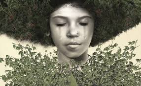 Jesmyn Ward, "Salvare le ossa" (Recensione)