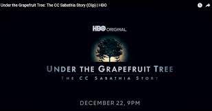 In his own words, sabathia narrates the highs and. Under The Grapefruit Tree Awful Announcing