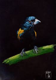 My First Draw In Black Paper By Osmane On Deviantart Black Paper Drawing Black Paper Cool Art Drawings