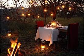 Candle Light Dinner In The Park Check Fire Restrictions Or On A Mountain Top Or On A Friend S Front Cute Date Ideas Romantic Camping Candle Light Dinner