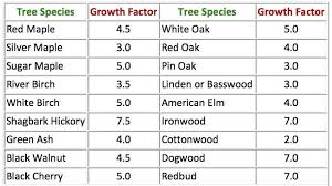 How Old Is My Tree Purdue Landscape Report