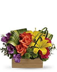 Unusual plants exotic plants exotic flowers tropical flowers purple flowers tropical garden tropical plants wonderful flowers beautiful flowers. Tropical Flower Arrangements Exotic Flowers Teleflora