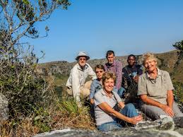 Image result for Allocassine laurifolia