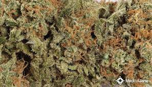 Atomic Northern Lights Marijuana Strain Review