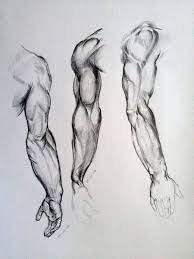 Pin On Anatomy