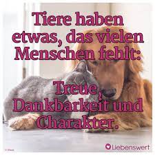 Spruche Fur Tierliebhaber Spruche Tiere Spruche Tierliebe Spruche