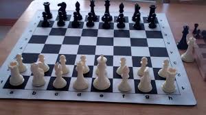 Competition black staunton chess set with case. My Thoughts On The Wholesalechess Com Premier Tournament Chess Set Youtube