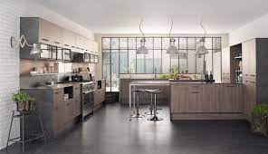 aster perene cuisines design cuisine moderne renovation cuisine