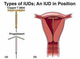 الطبري وابن حزم وشيخ الإسلام وغيرهم. Ø§Ù„Ù„ÙˆÙ„Ø¨ Ù„Ù„ÙŠ Ø¹Ù†Ø¯Ù‡Ù… Ø£Ø³ØªÙØ³Ø§Ø±Ø§Øª Ø¹Ø§Ù„Ù… Ø­ÙˆØ§Ø¡
