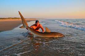 We did not find results for: Corpus Christi Fishing The Complete Guide