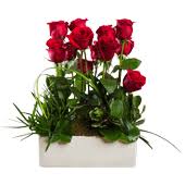 Anniversary flower delivery manhattan flower flower delivery online manhattan ks manhattan flowers floral delivery florist manhattan flowers manhattan manhattan florist. Steve S Floral Manhattan Florist Since 1987 Keep Blooming Manhattan