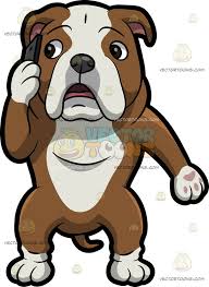 An English Bulldog Making A Phone Call English Bulldog Bulldog Bulldog Mascot