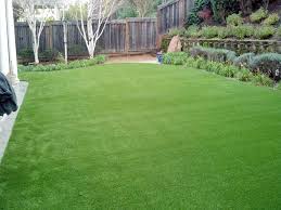 artificial turf sinking spring