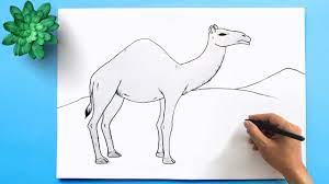 Drawing tutorial,art tutorial kzclip video subscribe kzclip.com/user/cartoonhub playlist www. How To Draw A Camel Easy Step By Step Easy Camel Drawing Youtube