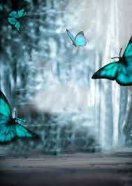 We hope you enjoy our rising collection of butterfly wallpaper. Butterfly Cb Editing Background 2021 Background Hd Cbeditz Com