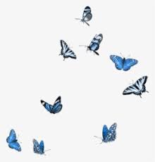 #animation #butterflies #butterfly #cool #cute #fly #flying #geocities #gif #graphics #myspace #myspace graphics #transparent #wing. Flying Butterflies Transparent Png Transparent Background Butterfly Gif Png Png Download Kindpng