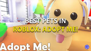 With heat air surrounding the food, it can reduce at least 80% of fat and calories in food. Best Pets In Roblox Adopt Me Unicorn Peacock More