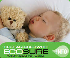 Insightful reviews for armor defense: Armor Pest Defense Pest Control Service Phoenix Arizona Facebook 10 Photos