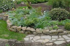 Garten Ohne Rasen Ich Habs Getan Seite 6 Gartenpraxis Mein Schoner G Garten Gartenpraxis Getan Habs Me Garten Bepflanzung Gartengestaltung
