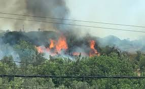 Прогулка по пляжам южной португалии. Incendio Em Almancil