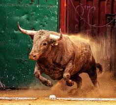 Pin By Ilustre Caballero On Tauromagia Bull Riding Bull Painting Angry Animals
