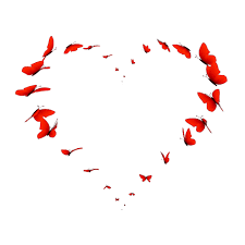 Schau sie dir an, lass dich inspirieren und teile sie mit deinem partner. Seda Rosen Kunst Liebe Gif Valentinstag Liebe