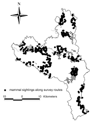 Image result for Pavetta pierlotii