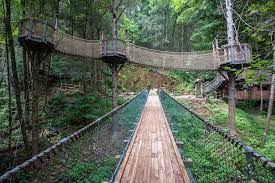 We have a wide variety of attractions for people of all ages. Foxfire Mountain Adventure Park Cabins Of The Smoky Mountains Attractions