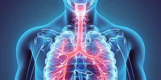Thoracic Outlet Syndrome Tos Physiopedia
