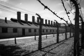 Subito dopo la sconfitta del terzo reich. Giorno Della Memoria 2021 Significato E Riflessioni Sul 27 Gennaio Studenti It