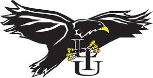 Birds Of Prey Movie Logo Transparent 16 Long Island Black Bird Virtual Museum Historical Items