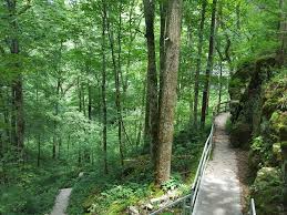 cedar sink trail kentucky alltrails
