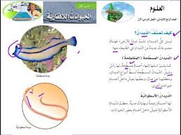 العلوم الرابع الابتدائي المملكة الحيوانية الحيوانات اللافقارية كيف تصنف الديدان Youtube