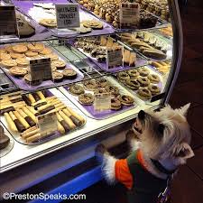Pin By Lina Bal On My Intsagram Photos Dog Cafe Dog Bakery Pet Cafe