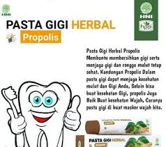Hni Hpai Pasta Gigi Herbal Propolis Shopee Indonesia