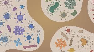 Microbiome