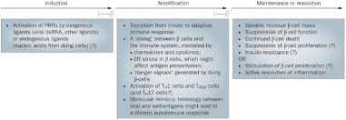 We did not find results for: The Role Of Inflammation In Insulitis And B Cell Loss In Type 1 Diabetes Nature Reviews Endocrinology