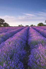 11 Trips You Should Take With Your Mom Beautiful Places To Visit Vacations To Go Trip