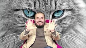 Ruyada Kedi Gormek Nedir Ruya Tabirleri Ruyada Kedi Gormek Ne Anlama Geliyor Ø¯ÛØ¯Ø¦Ù Dideo