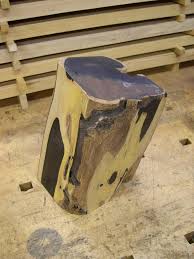 Image result for Dalbergia melanoxylon