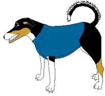 There's a ton of printable sewing patterns below, and we promise to keep adding more! Dog Jacket Patterns Free Download Dunia Belajar