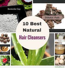 Natural shampoo for curly hair & dry natural hair, | blend of 4 clays : 10 Best Natural Shampoos For Strong Healthy Shiny Hair Hair Buddha