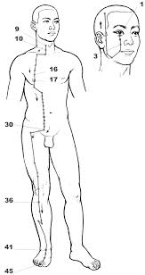 chart and symptoms of the stomach meridian according to