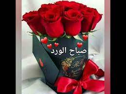 Pictures and messages of good morning and evening 2020 and love letters. Ø£Ø¬Ù…Ù„ ØªÙ‡Ù†Ø¦Ø© ØµØ¨Ø§Ø­ Ø§Ù„Ø®ÙŠØ± 2020 Youtube